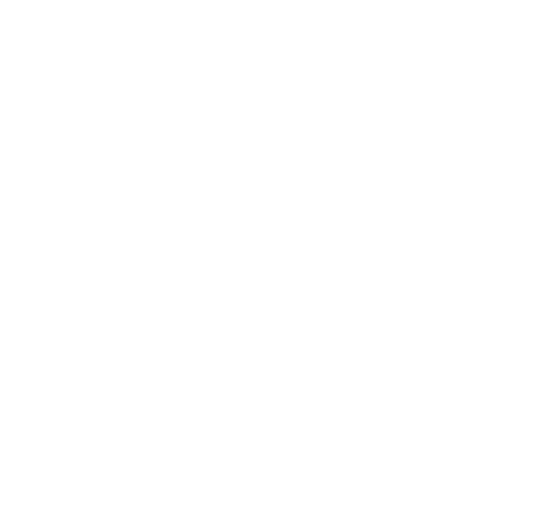 Travelers choice